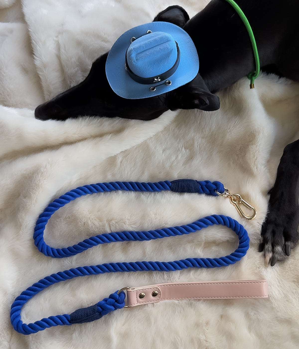 Twist Rope Dog Lead