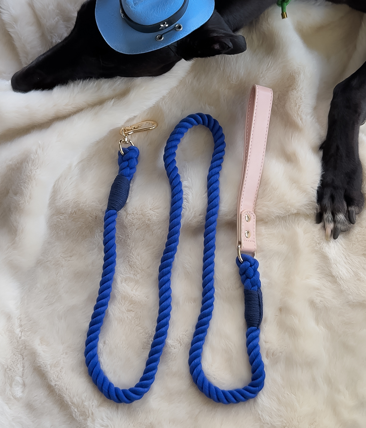 Twist Rope Dog Lead