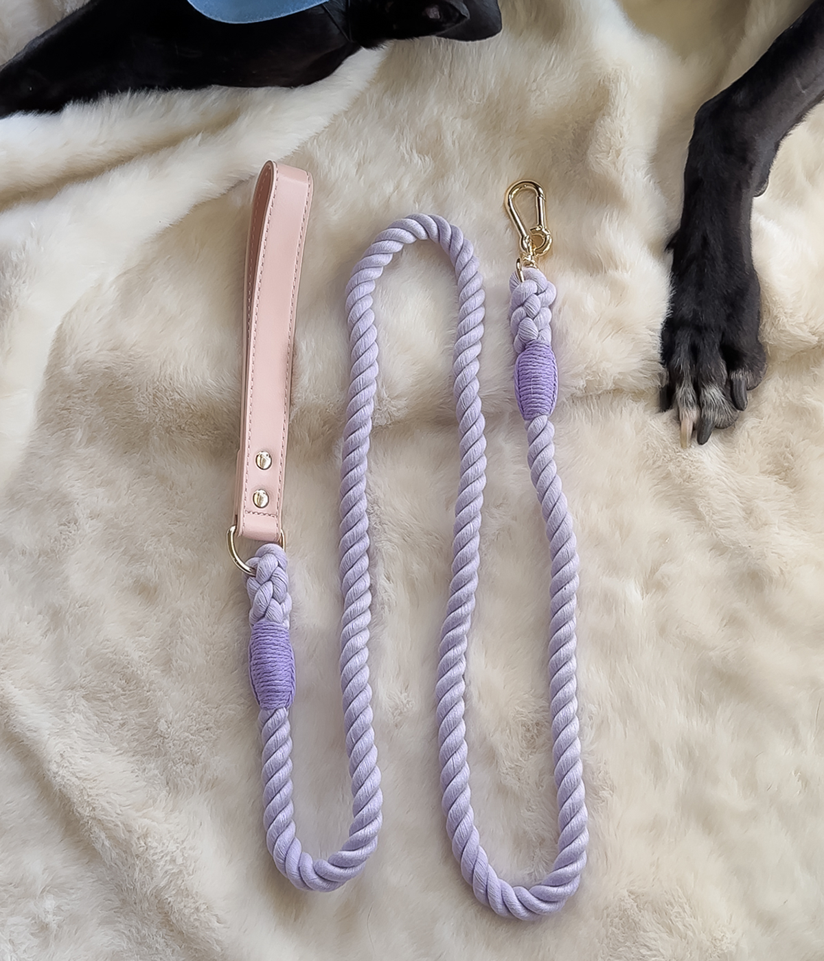 Twist Rope Dog Lead