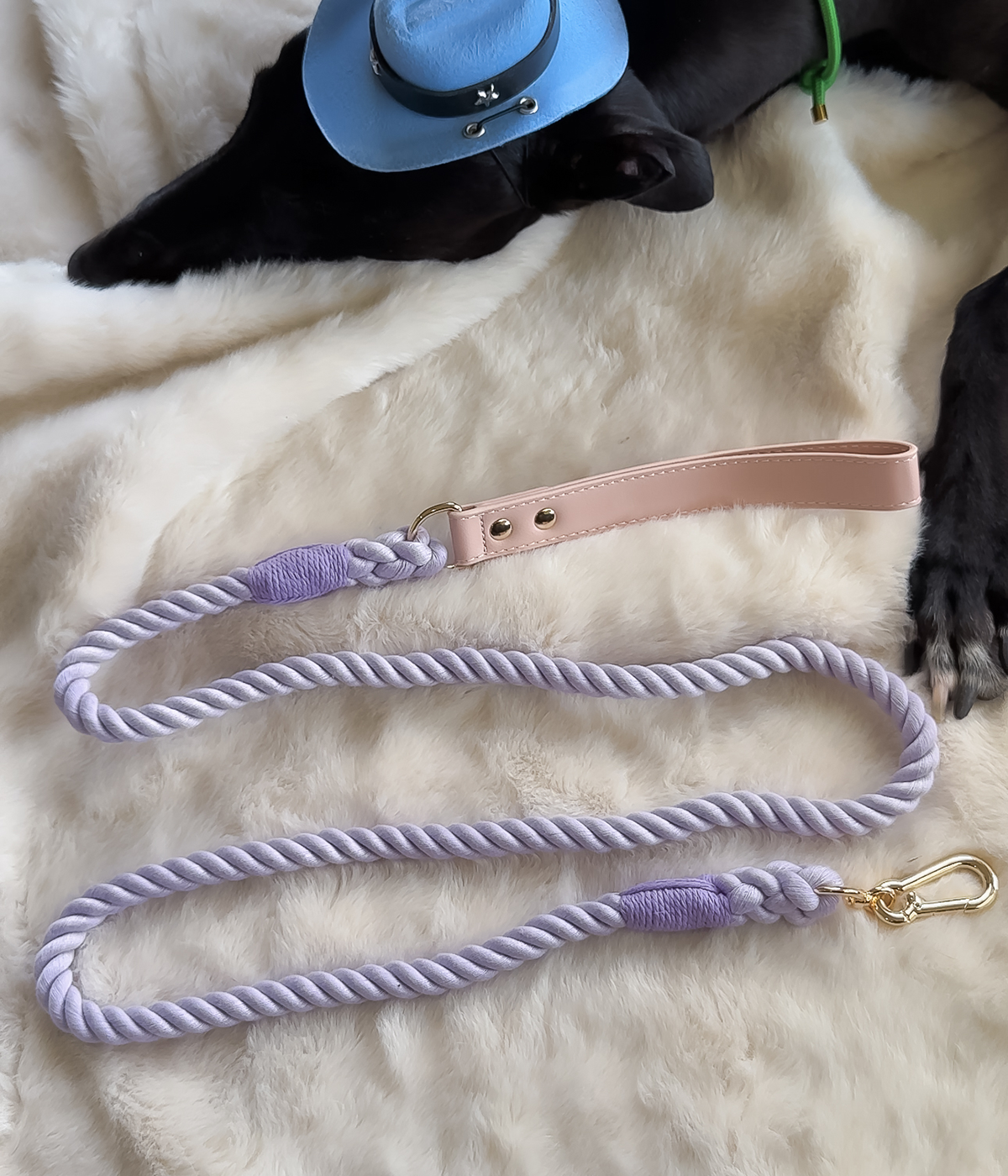 Twist Rope Dog Lead