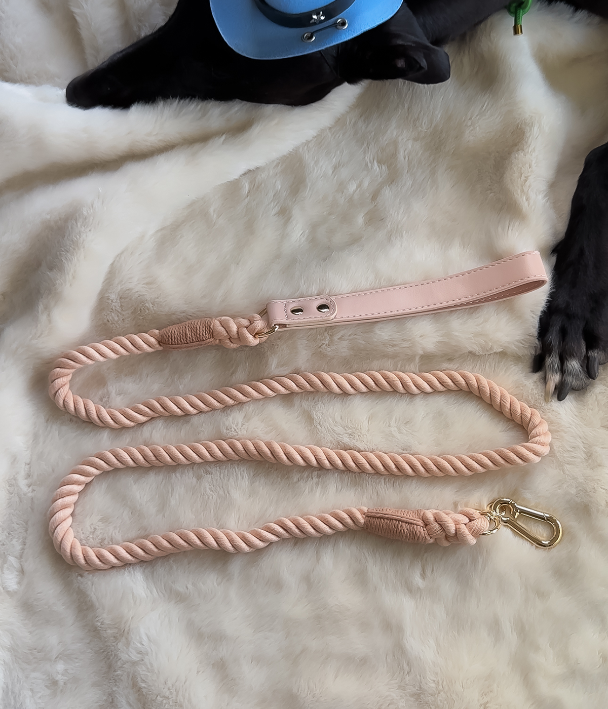 Twist Rope Dog Lead