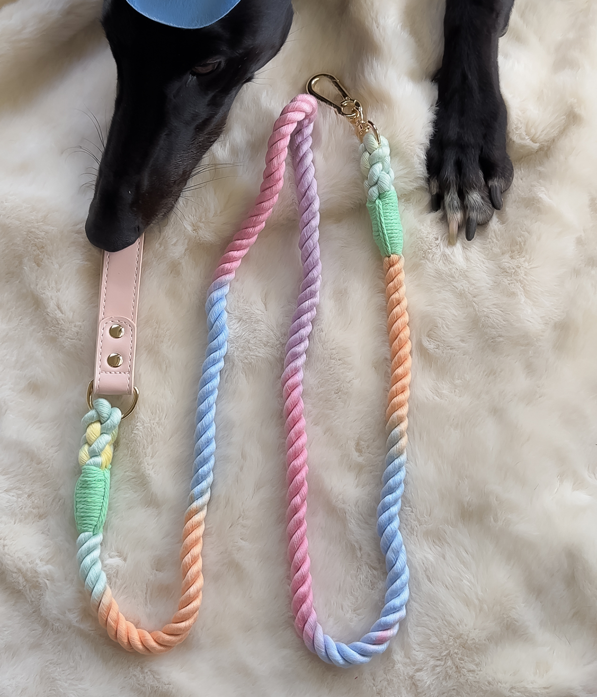Twist Rope Dog Lead