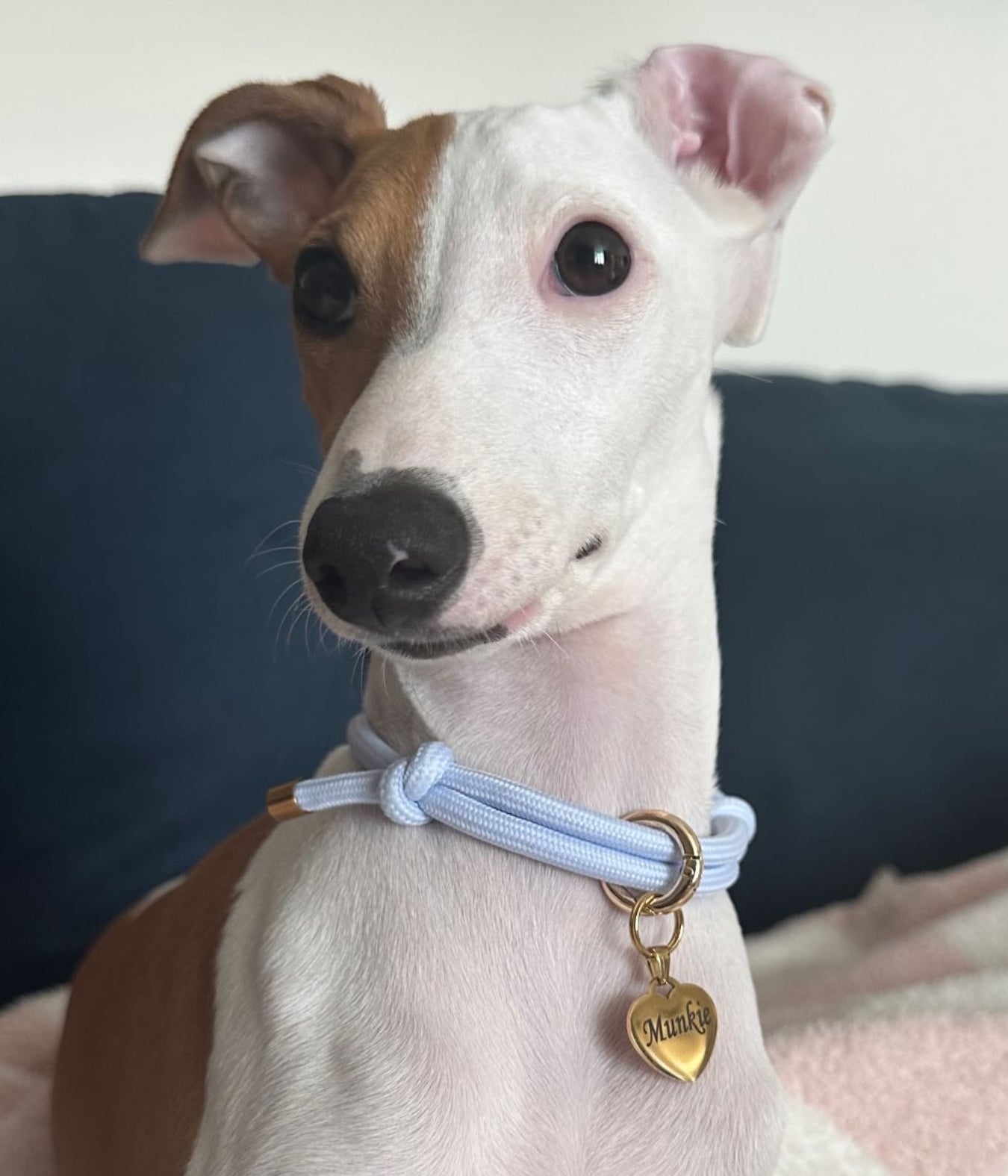 House Collar - Peach&