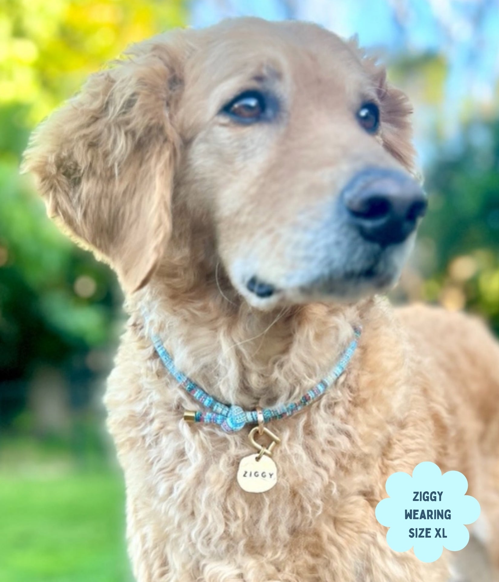 Boho House Collar - Ocean