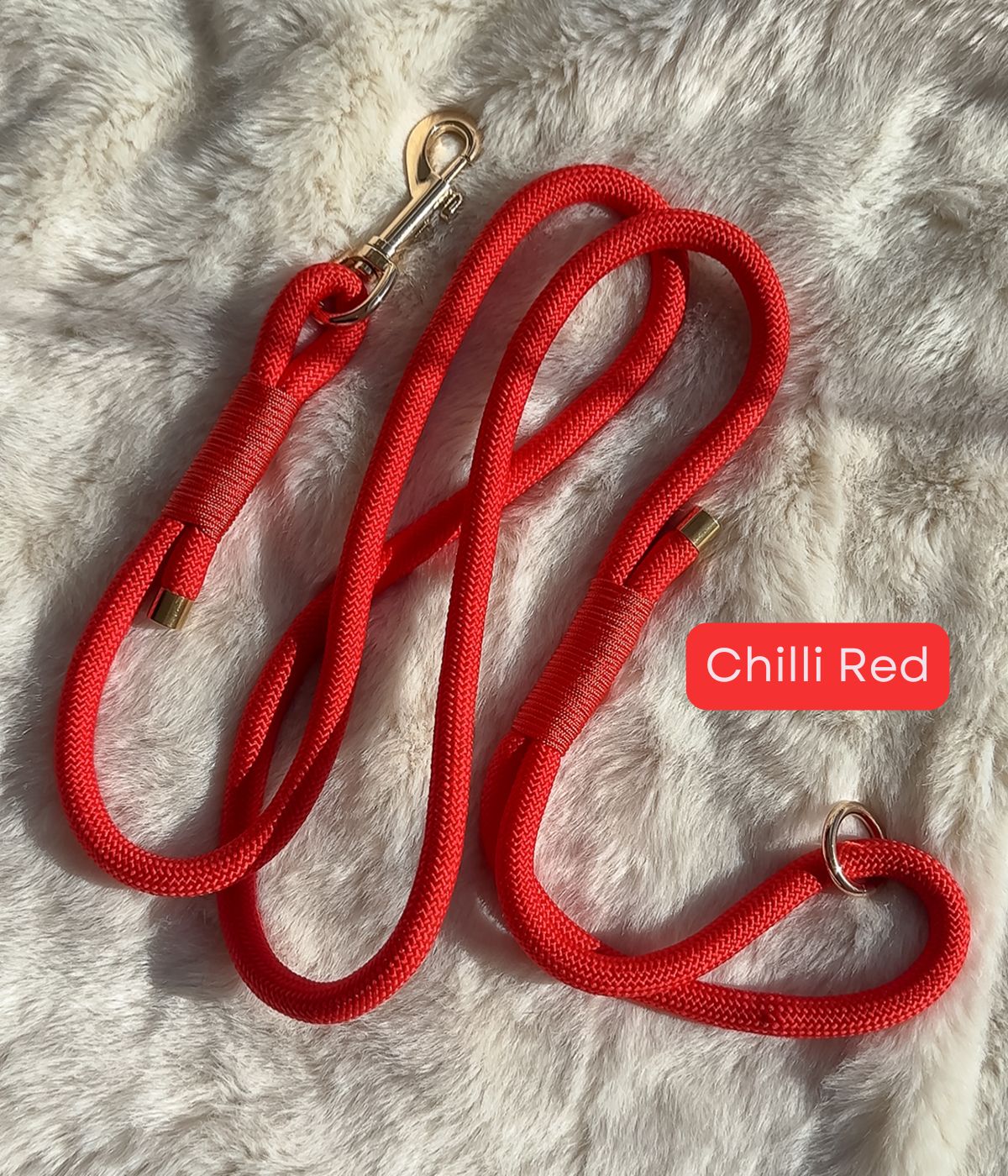 Rope Dog Lead