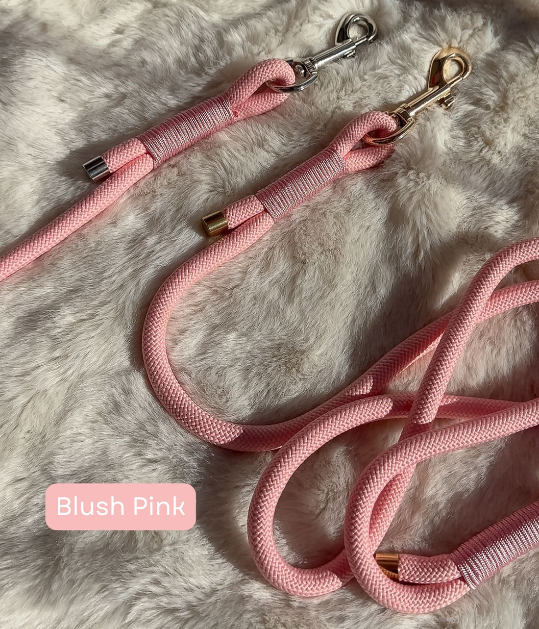 Rope Dog Lead