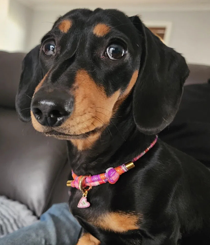 Mimi House Collar