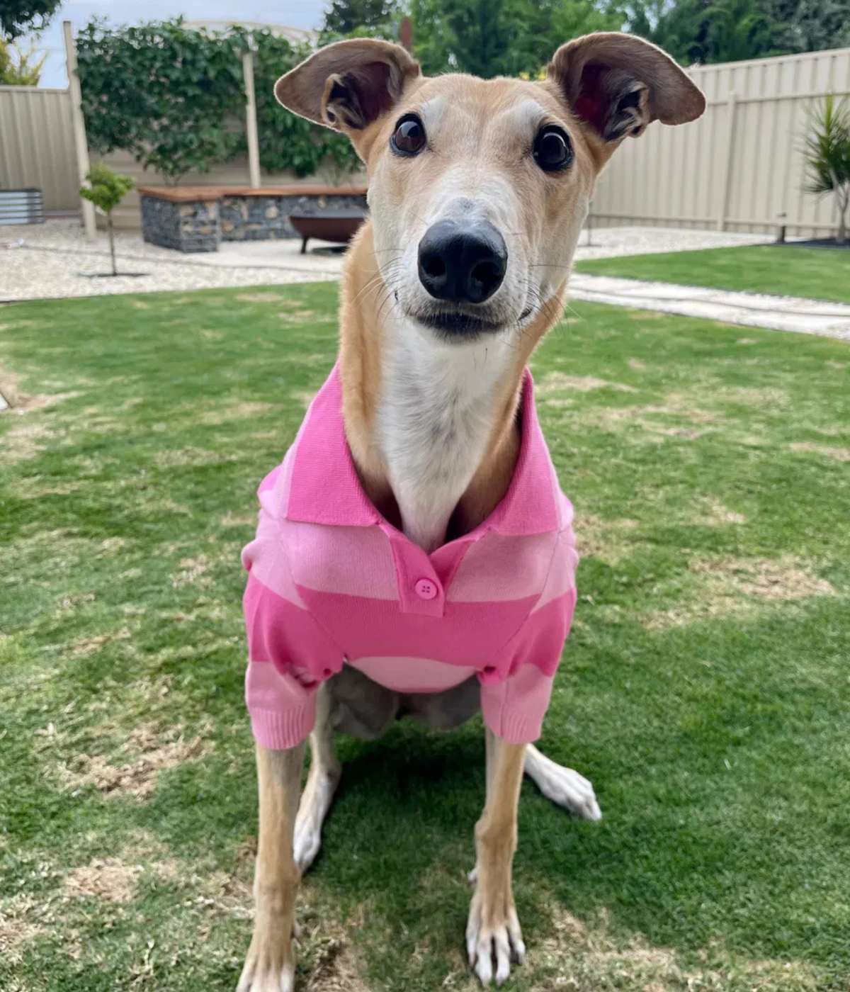 Elle Woods Pink Polo