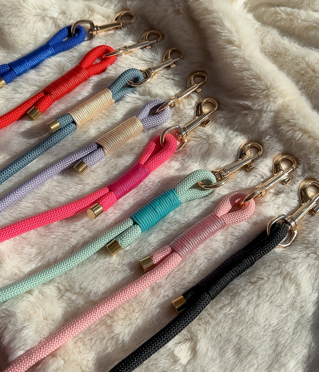 Rope Dog Lead
