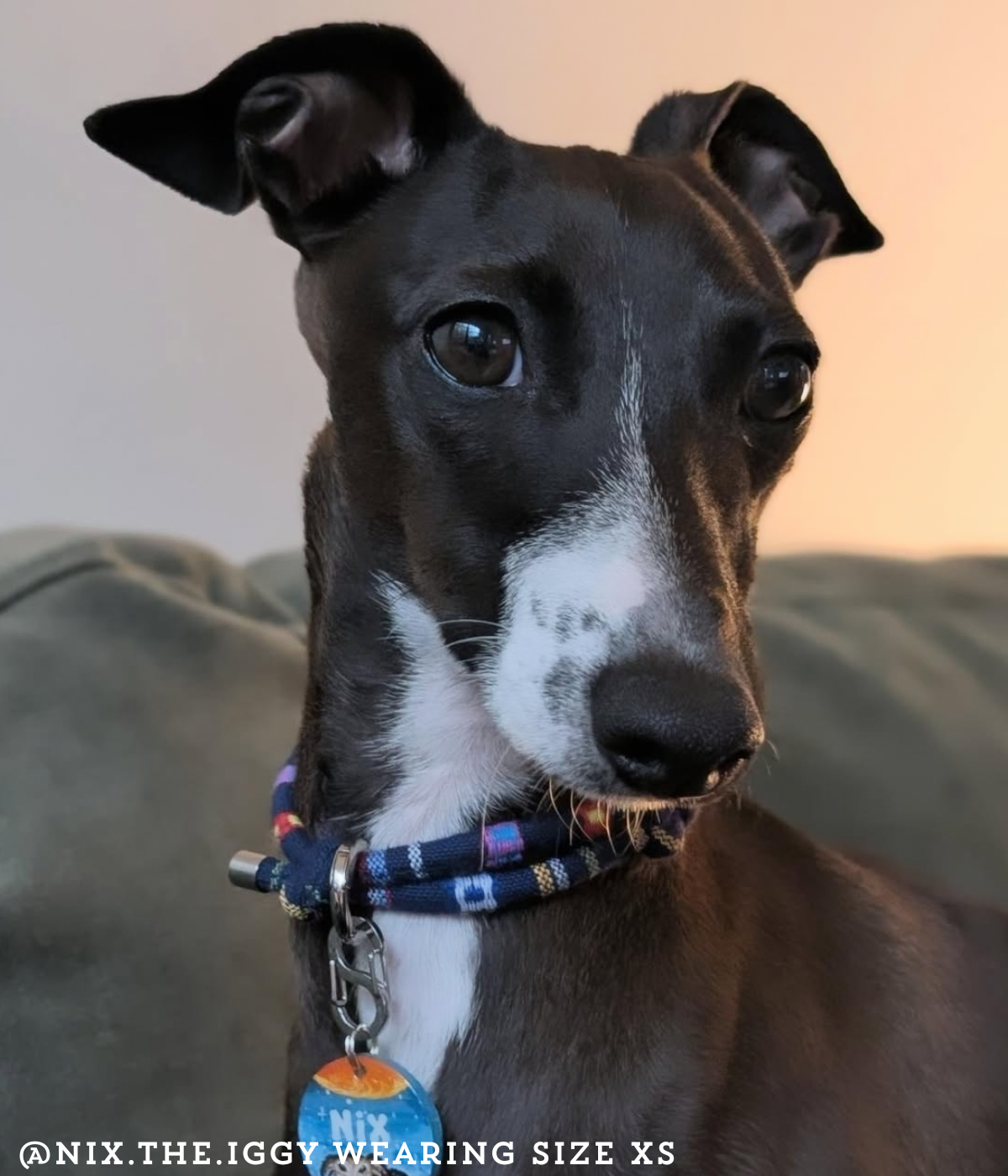 Boho House Collar - Twilight