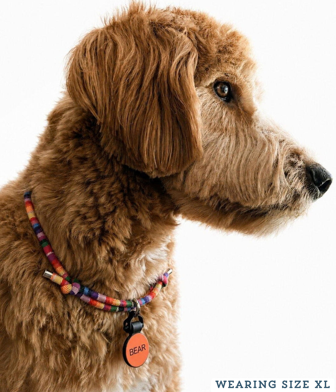 Boho House Collar - Fiesta
