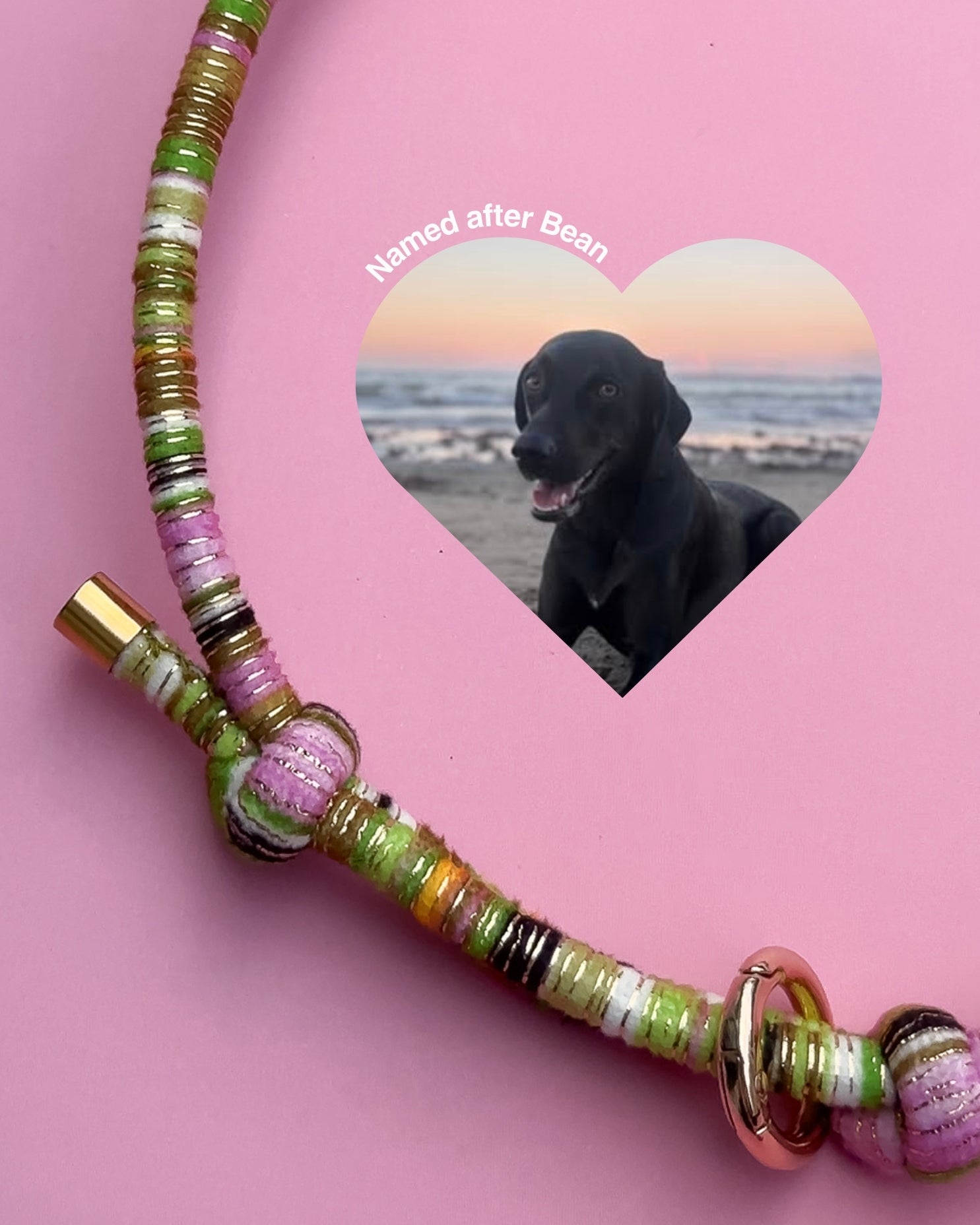 Bean House Collar