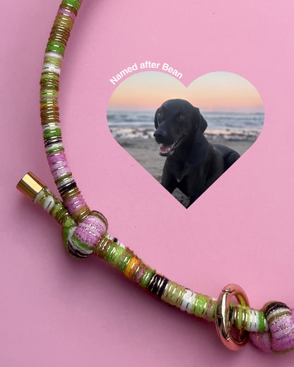 Bean House Collar