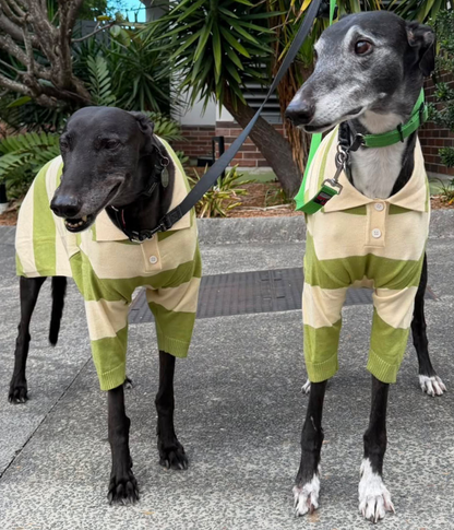 Green Eggs and Ham Polo