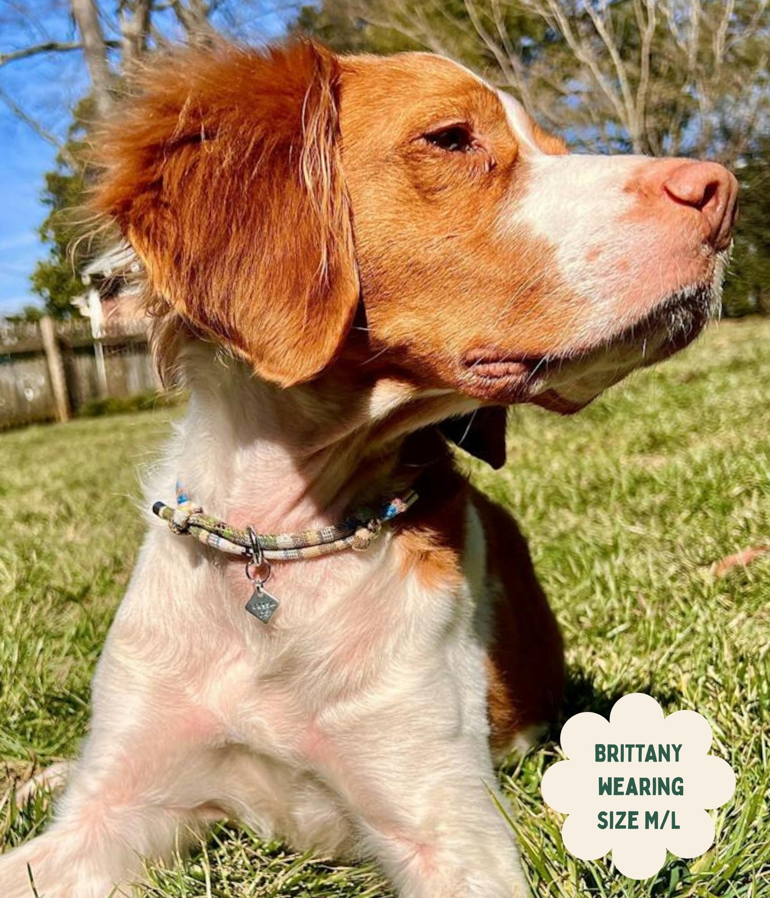 Boho House Collar - Dune
