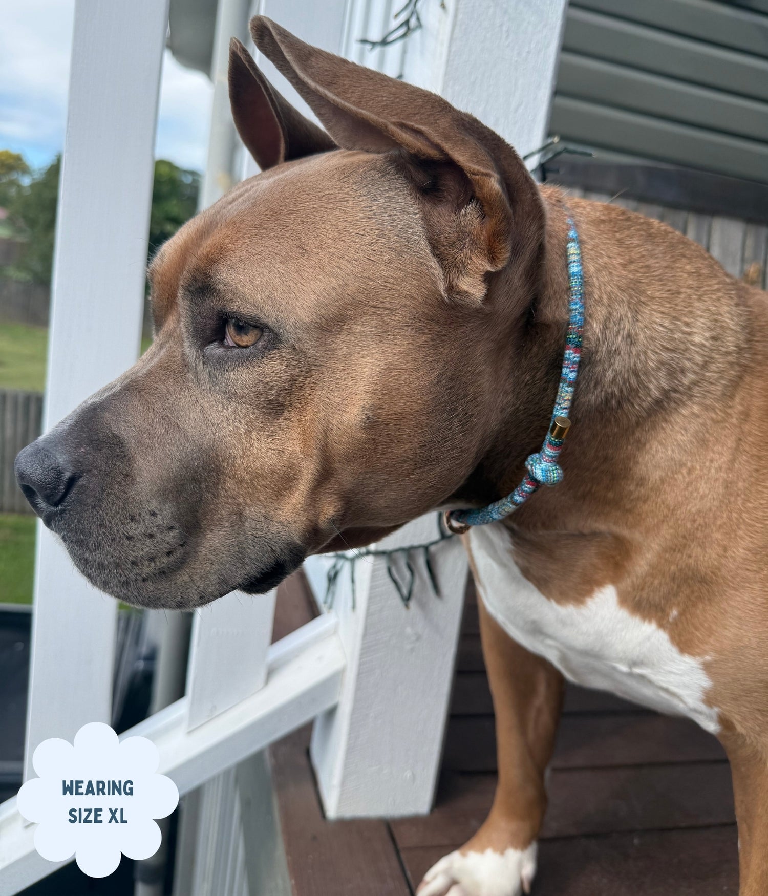 Boho House Collar - Ocean