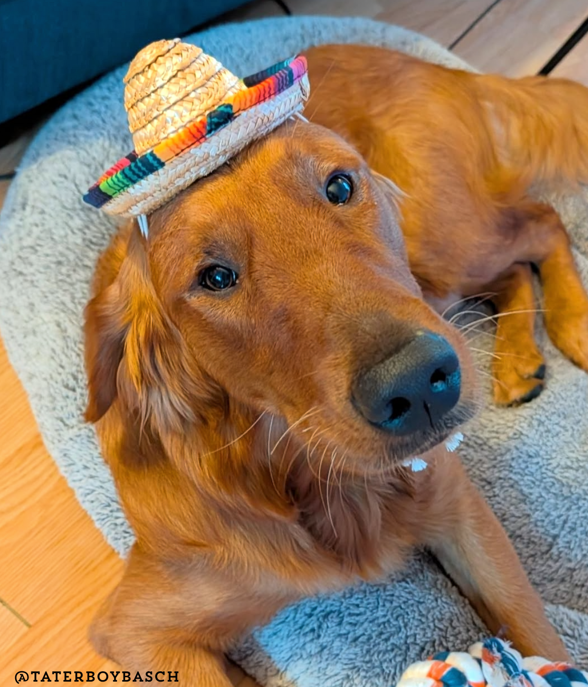 Sombrero