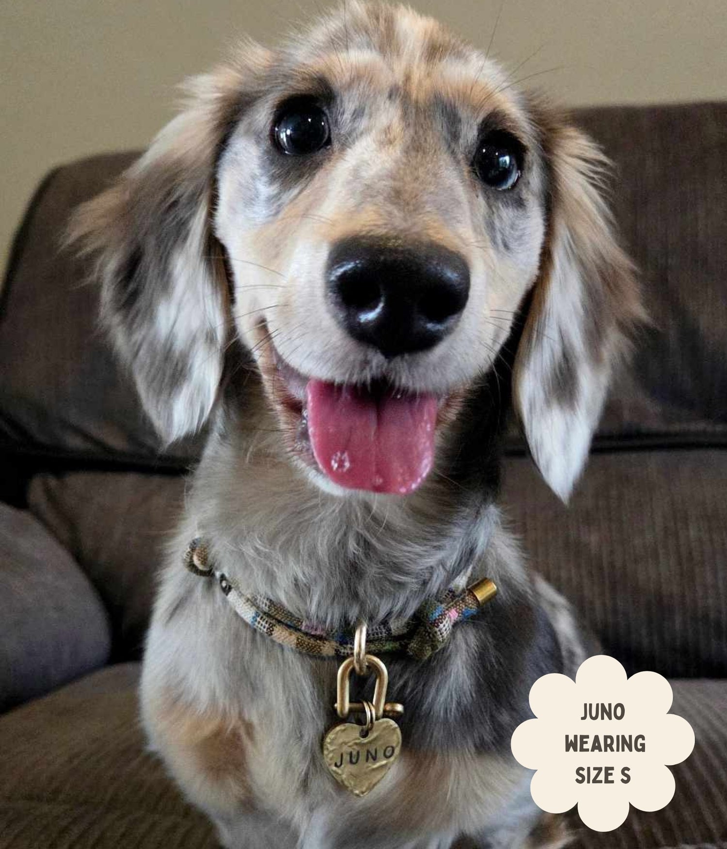 Boho House Collar - Dune