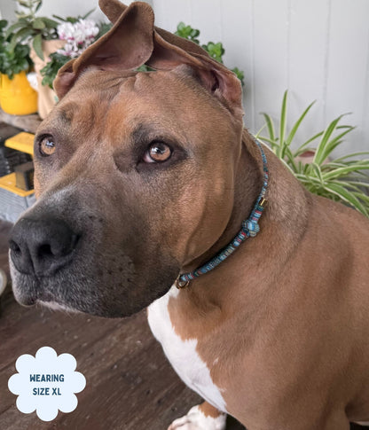 Boho House Collar - Ocean