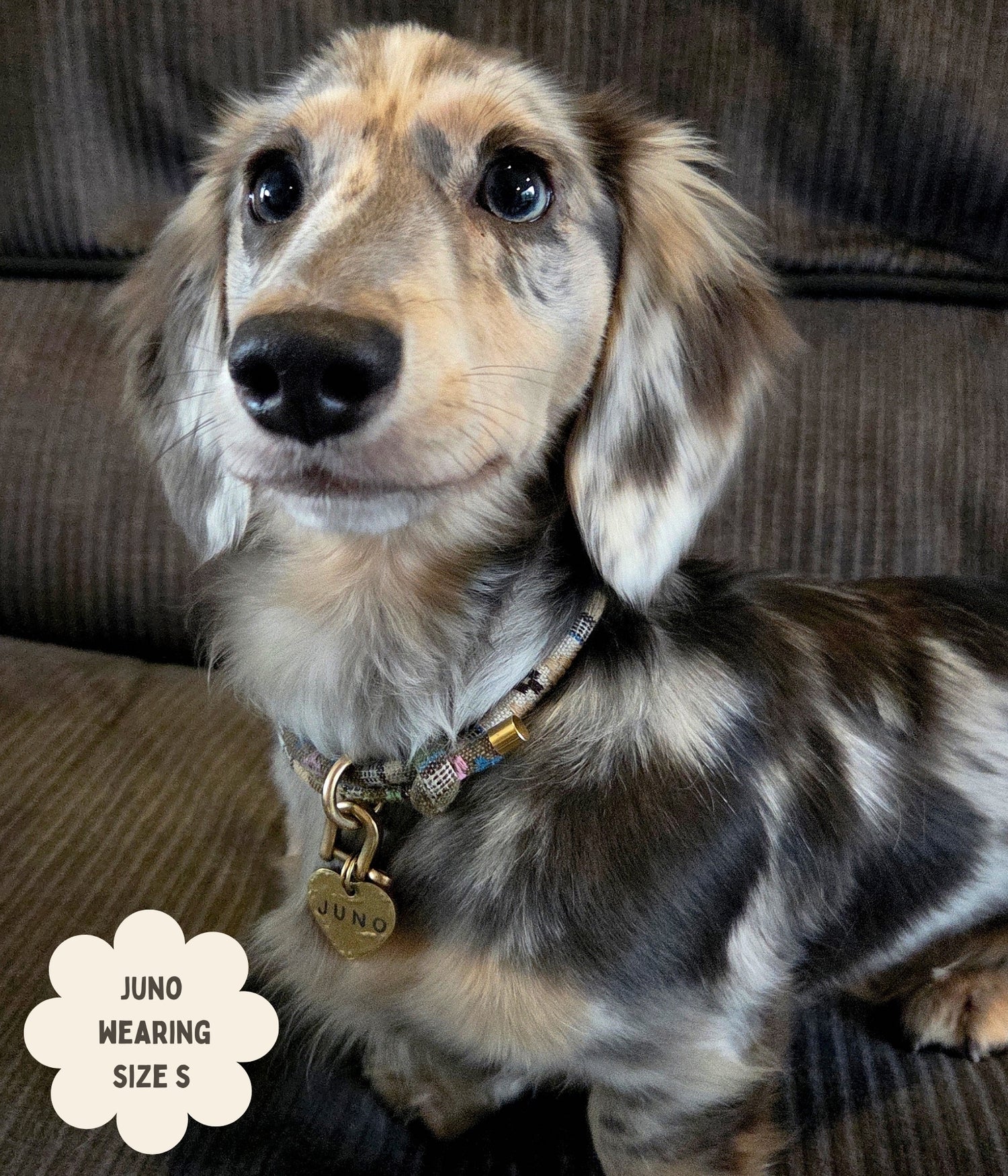 Boho House Collar - Dune