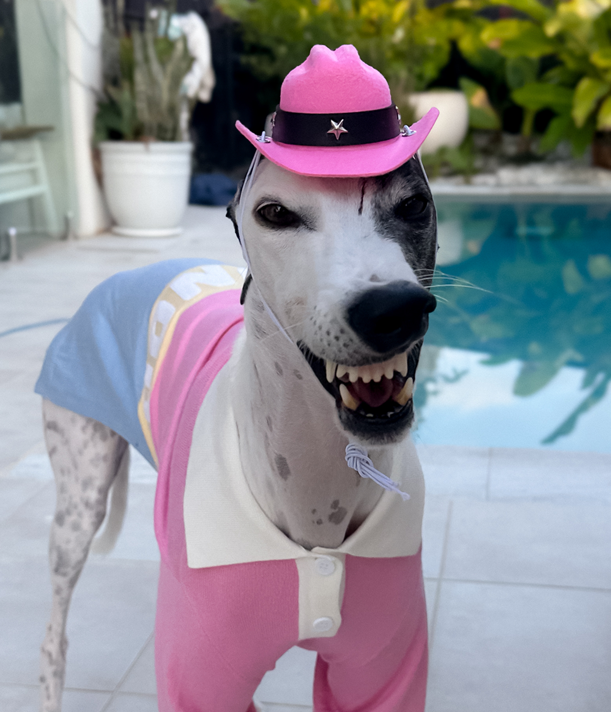Cowboy Hat - Pink