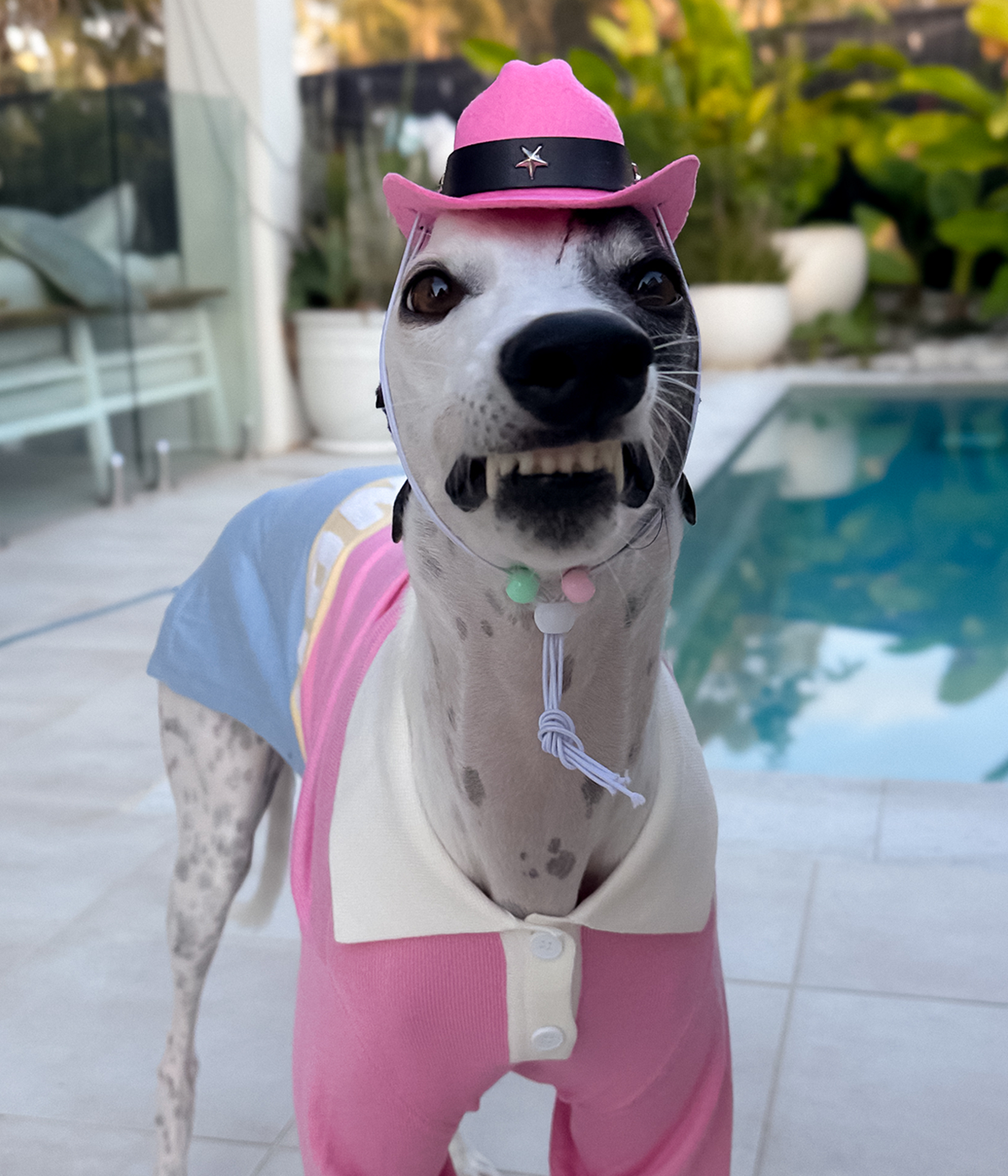Cowboy Hat - Pink