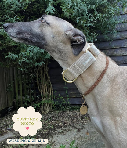 Martingale Collar - Hounddstooth