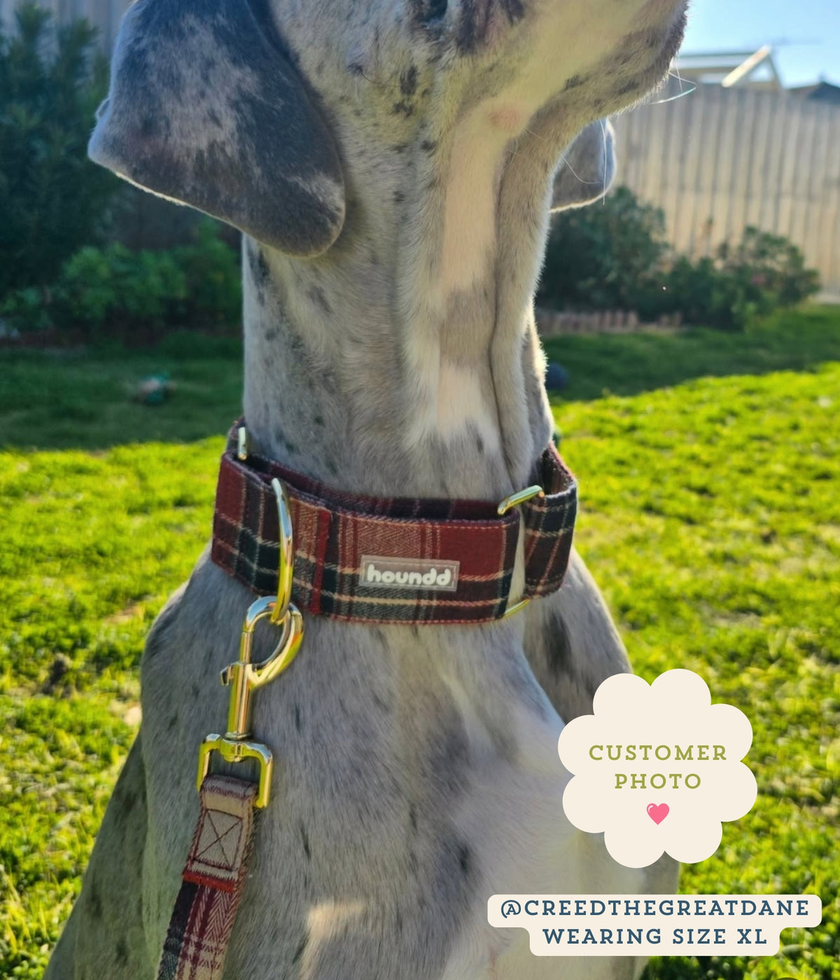 Martingale Collar - Tartan