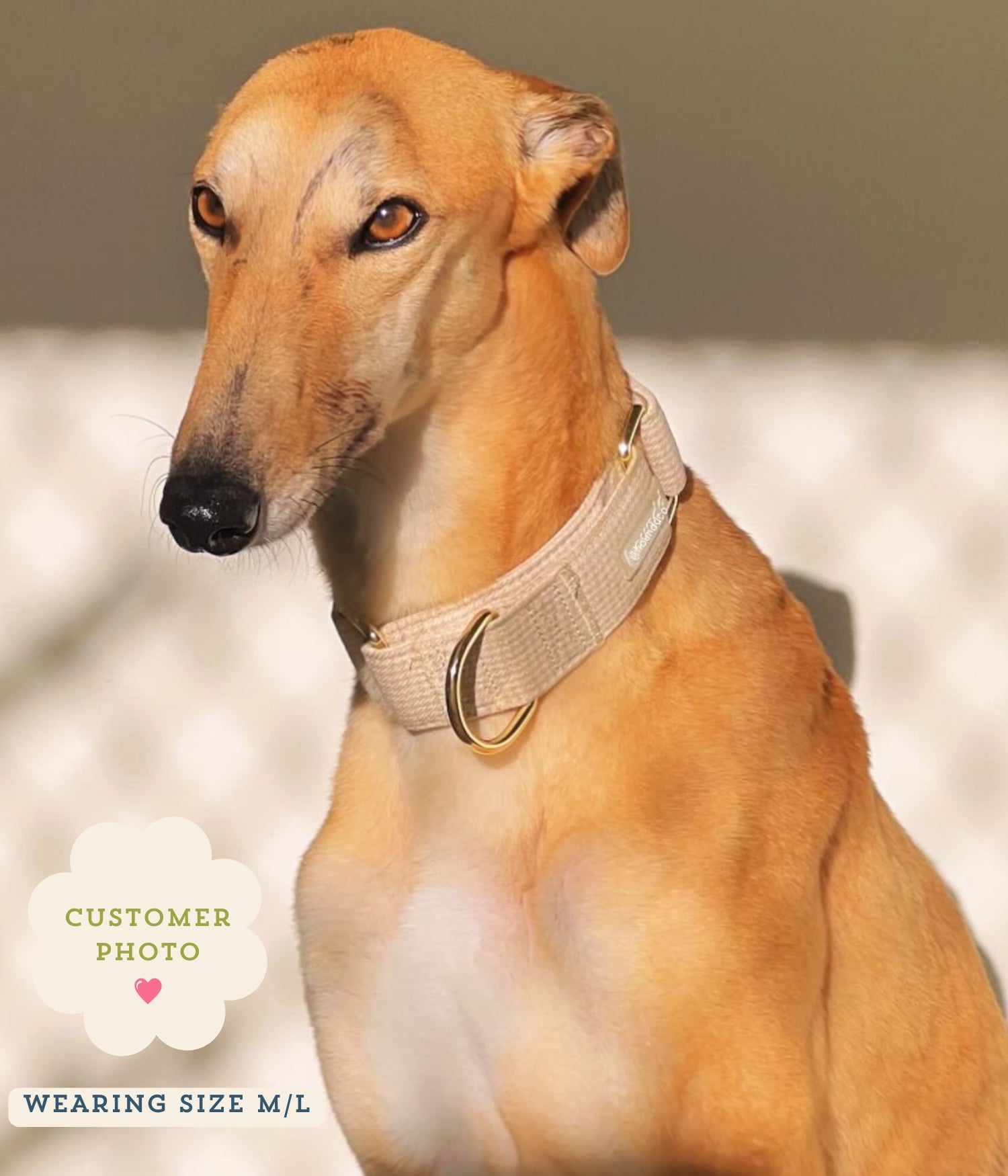 Martingale Collar - Hounddstooth