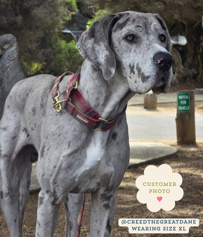 Martingale Collar - Tartan