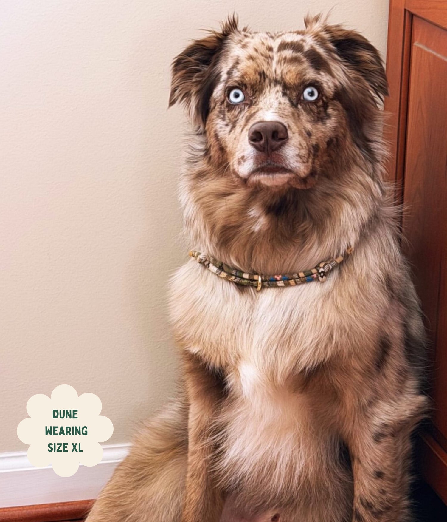 Boho House Collar - Dune