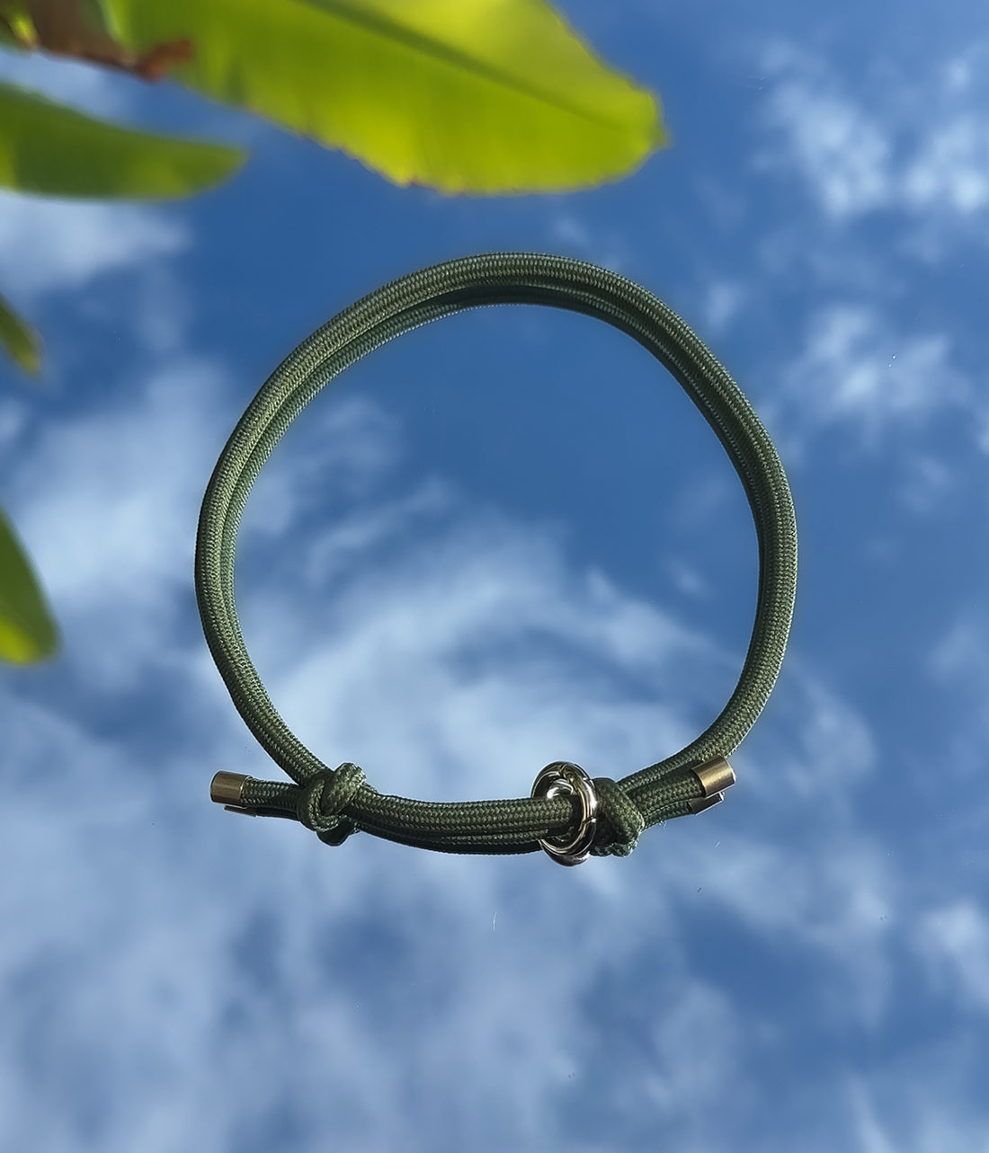 House Collar - Olive