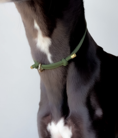 House Collar - Olive