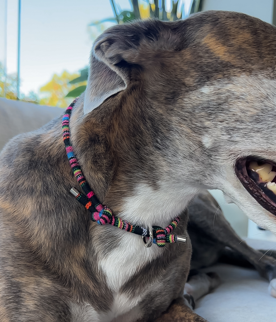 Boho House Collar - Aurora