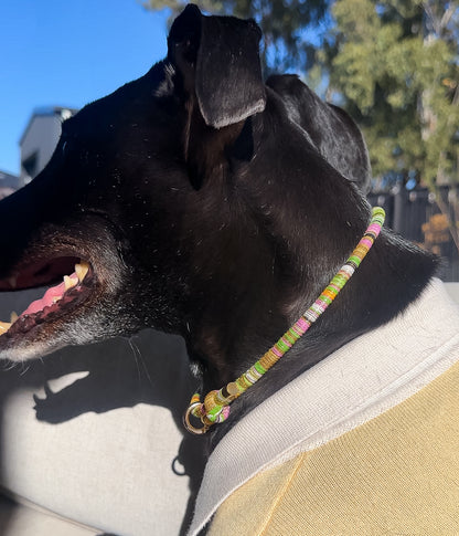 Bean House Collar