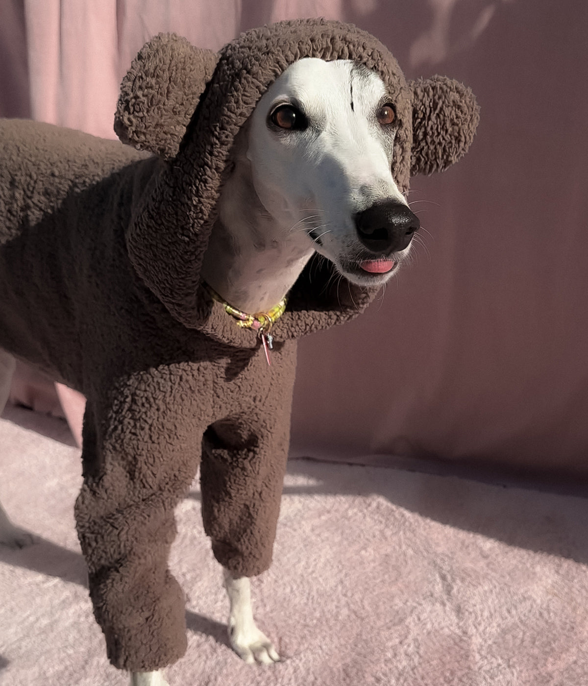 The Bear Hoodie