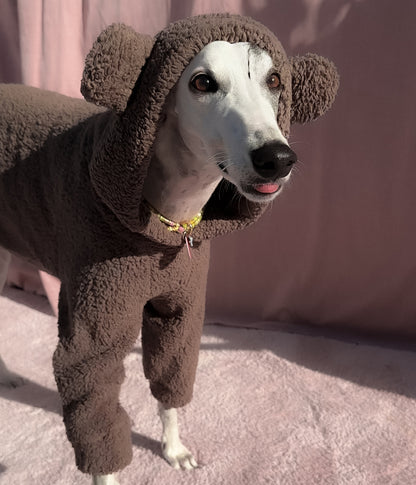 The Bear Hoodie