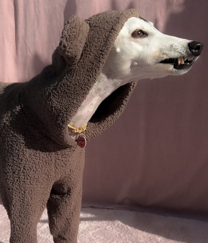 The Bear Hoodie