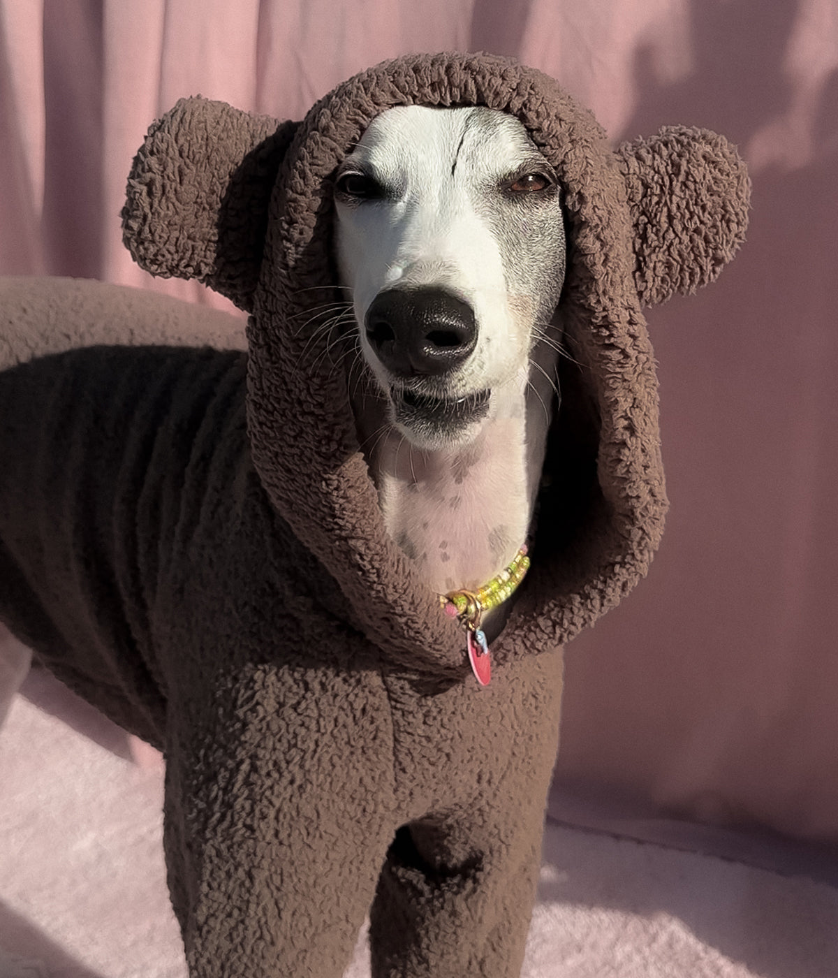 The Bear Hoodie