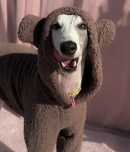 The Bear Hoodie