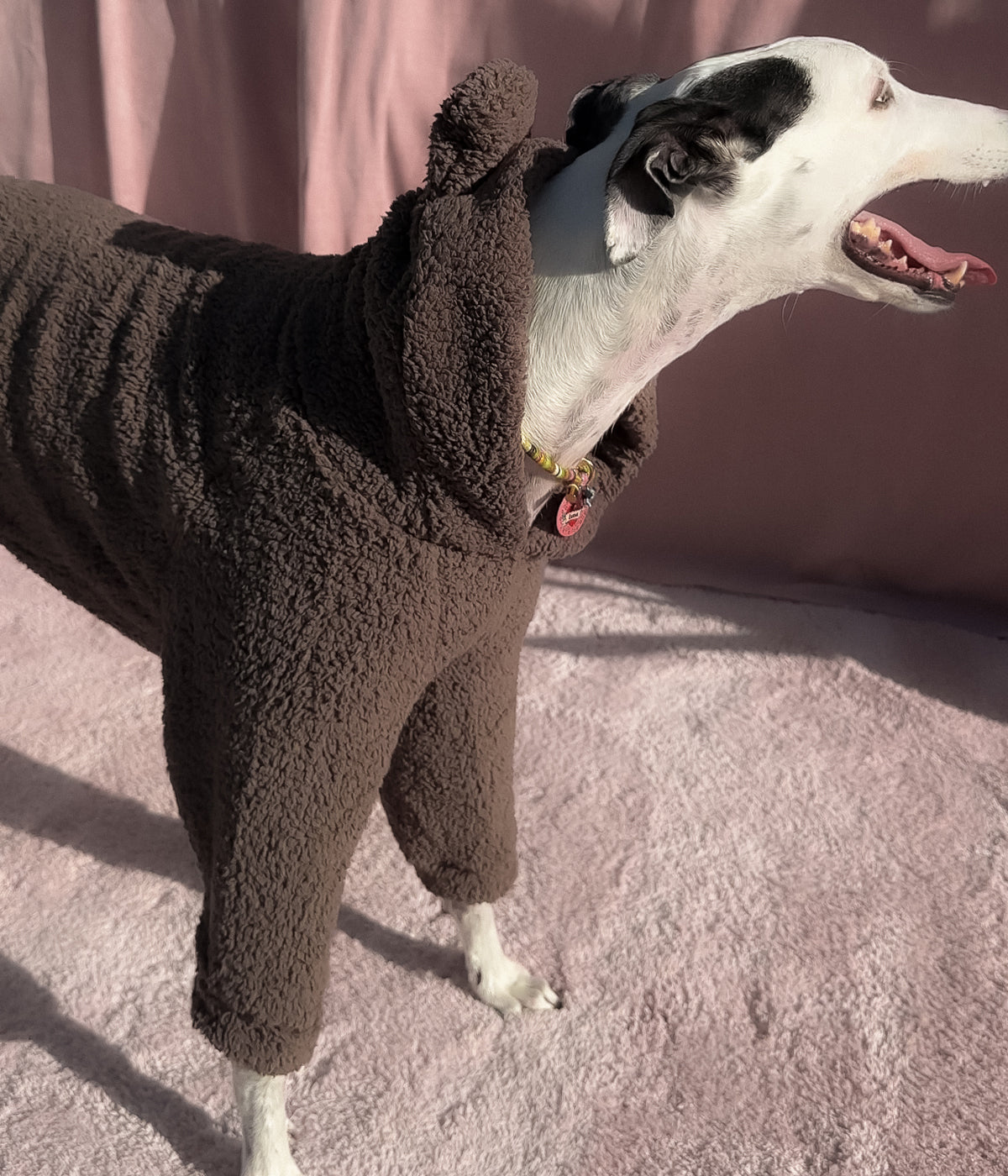 The Bear Hoodie