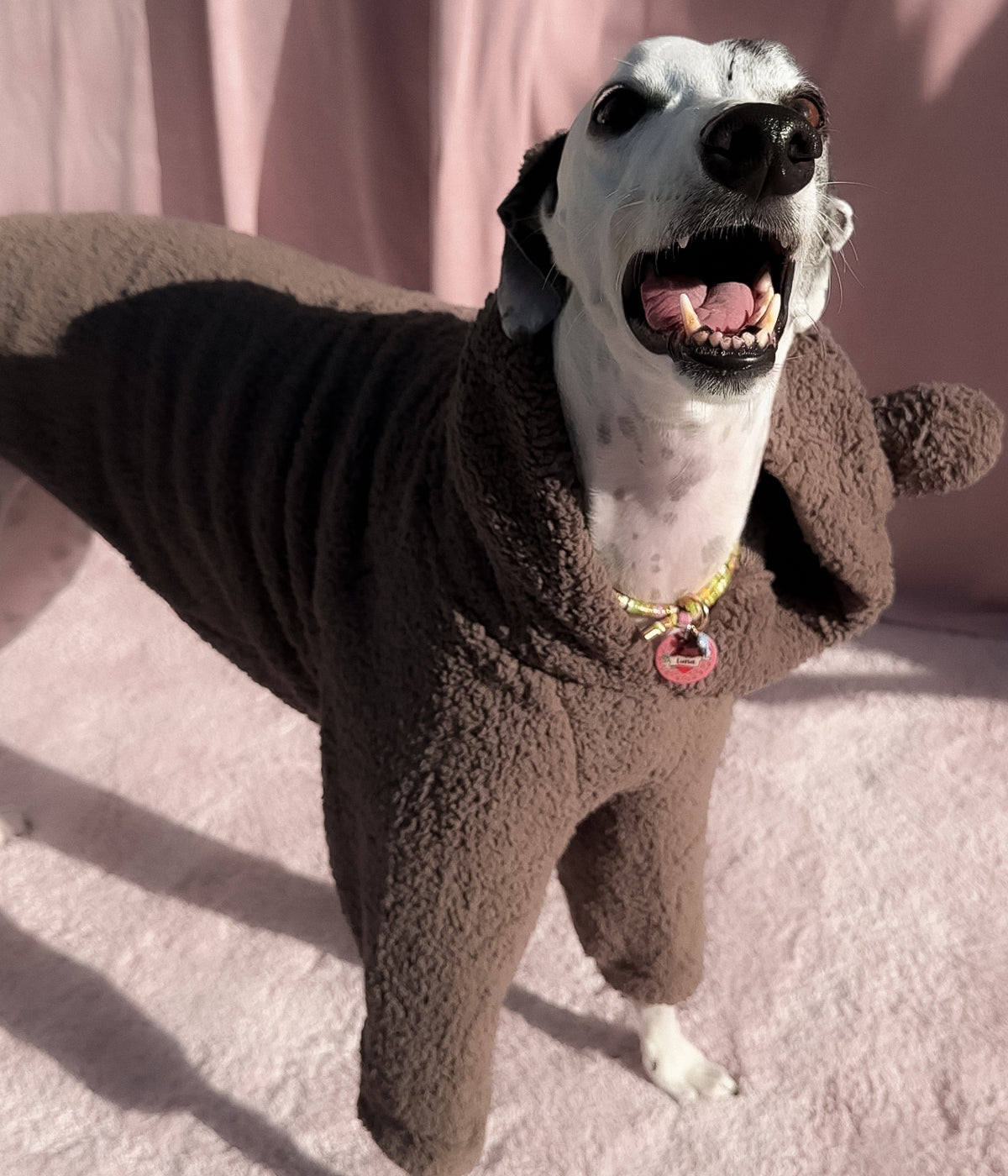 The Bear Hoodie