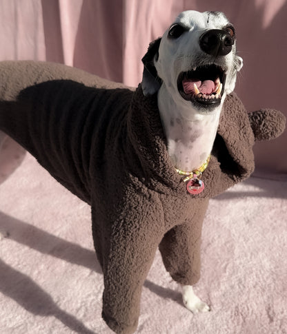 The Bear Hoodie