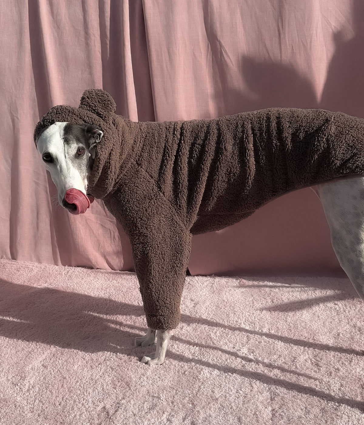 The Bear Hoodie