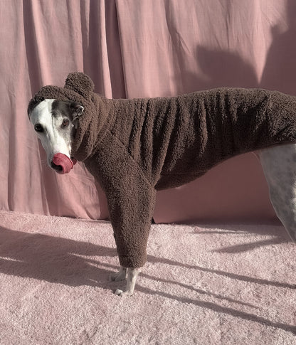 The Bear Hoodie