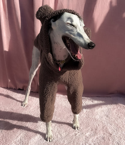 The Bear Hoodie