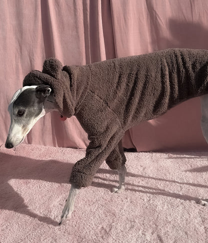 The Bear Hoodie