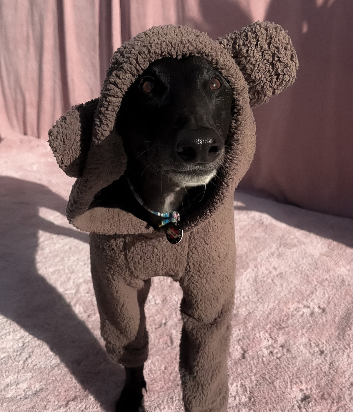The Bear Hoodie