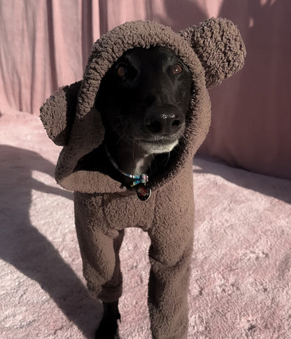 The Bear Hoodie