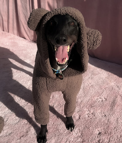 The Bear Hoodie
